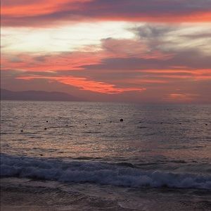 Meet your Posher, Darcie